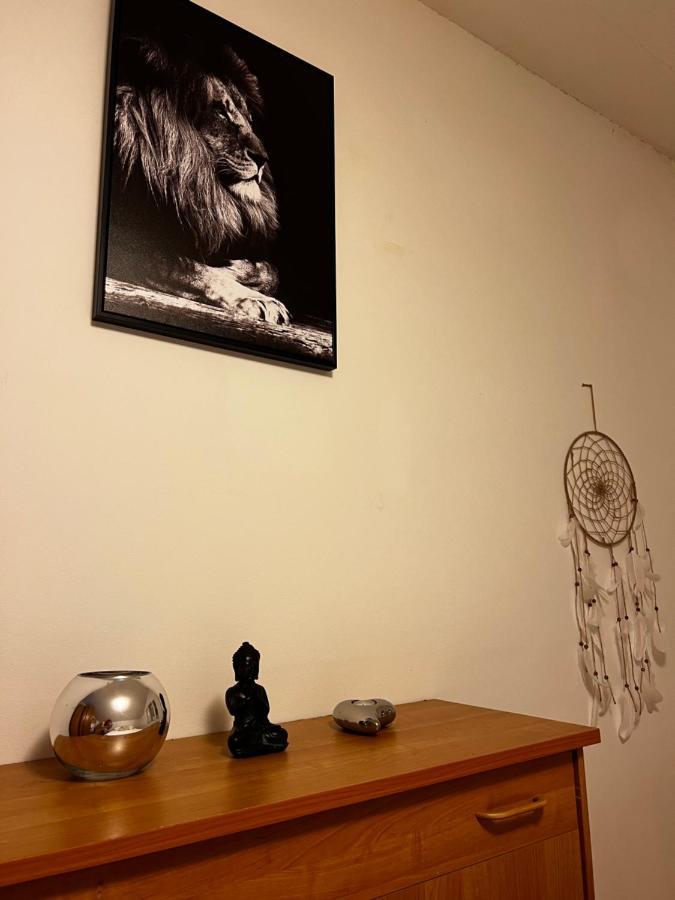 Euphoria Apartment Obuljeno Eksteriør billede